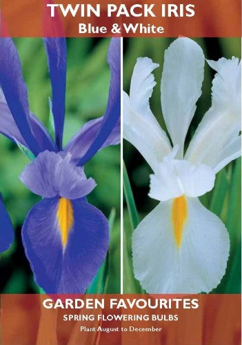 Twin Pack Iris - Blue & White Bulbs
