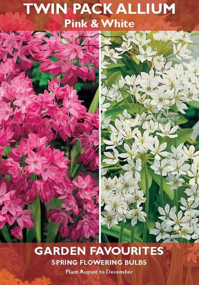 Twin Pack Allium - Pink & White Bulbs