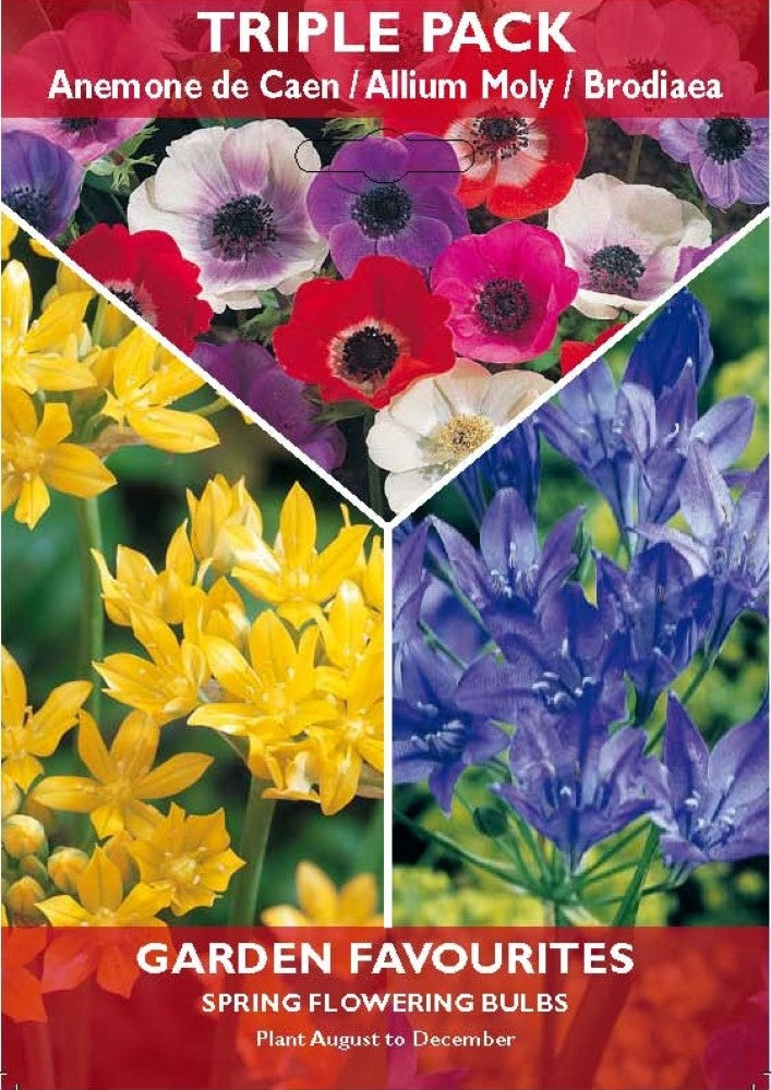 Triple Pack - Anemone, Allium & Brodiaea Bulbs