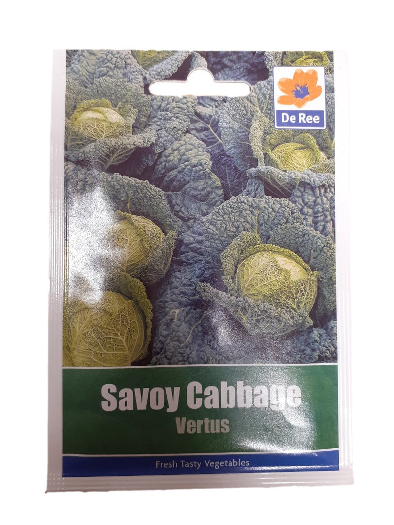 Savoy Cabbage - Vertus Seeds