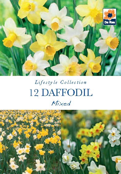 Daffodil Mixed Bulbs