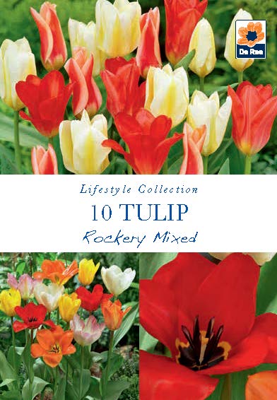 Tulip Rockery Mixed Bulbs
