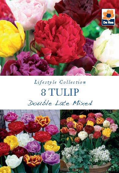 Tulip Double Late Mixed Bulbs