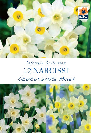 Narcissi White Scented Mixed Bulbs