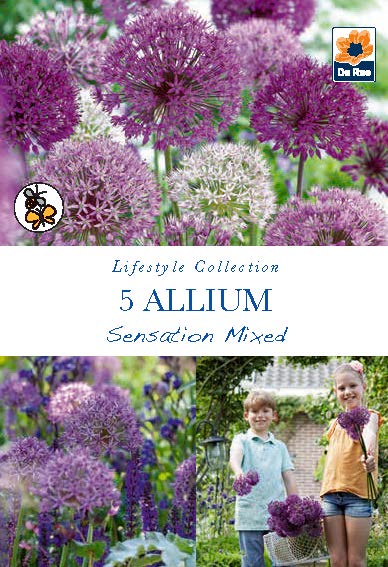 Allium Sensation Mixed Bulbs