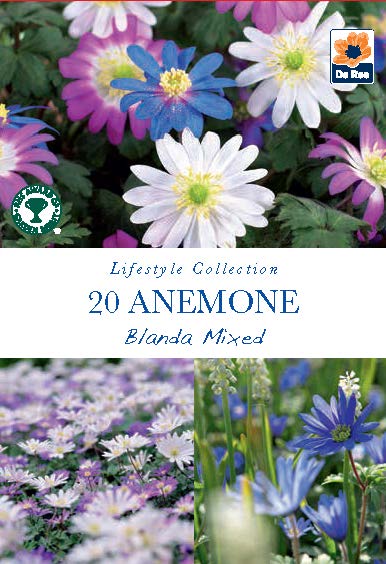 Anemone Blanda Mixed Bulbs