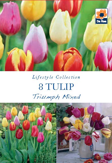 Lifestyle Collection Tulip Triumph Mixed Bulbs