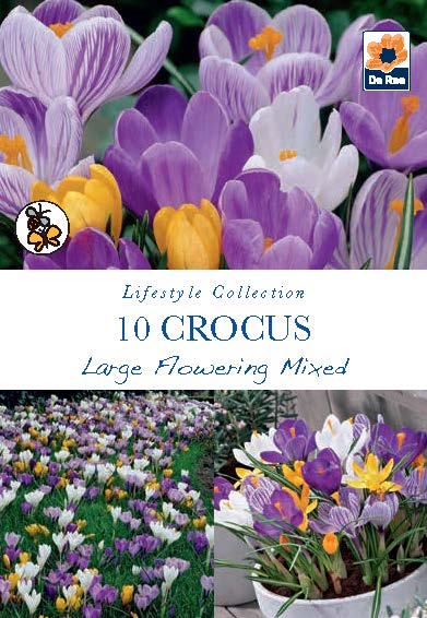 Crocus Large Flowering Mixed
