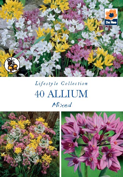 Allium Mixed Bulbs