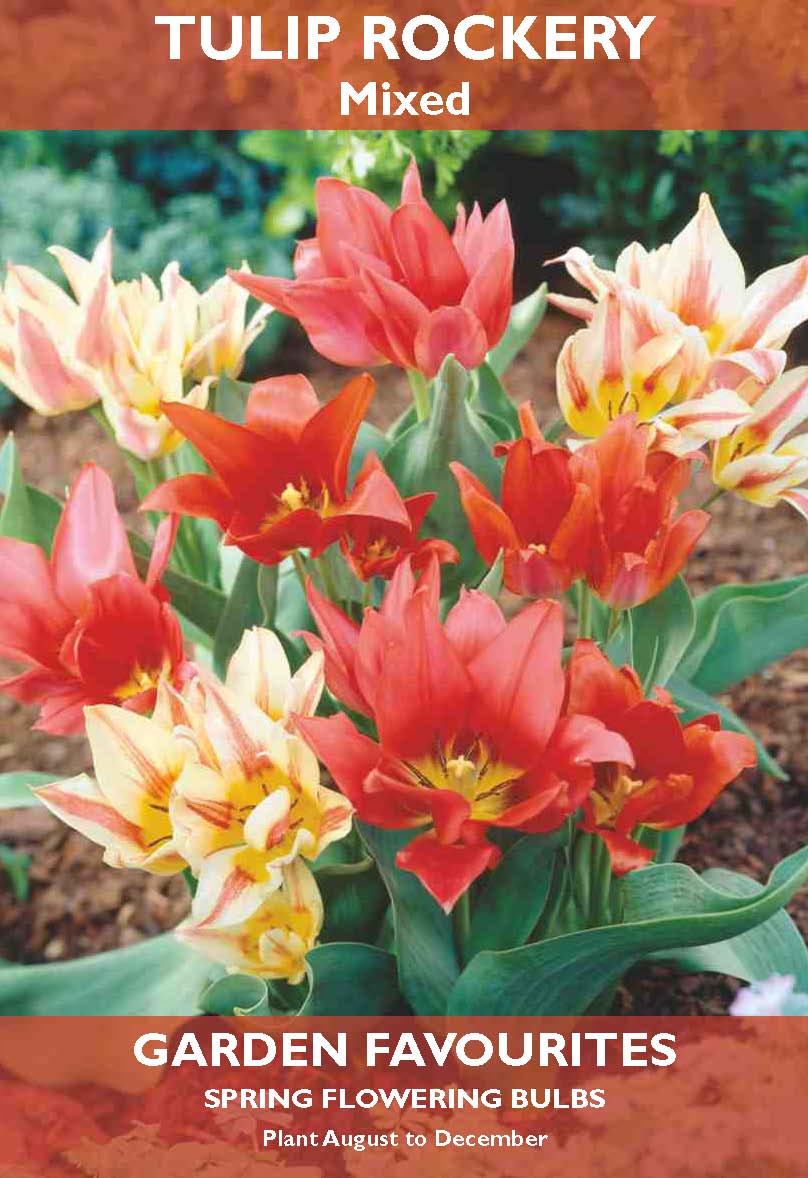 Tulip Rockery Mixed