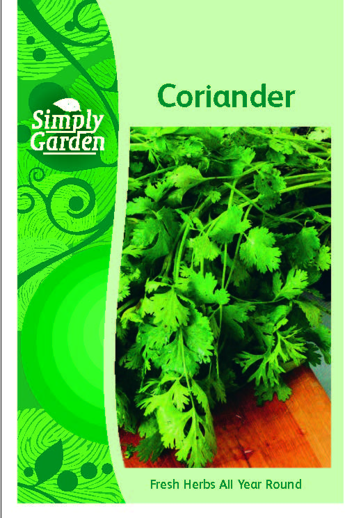 Coriander