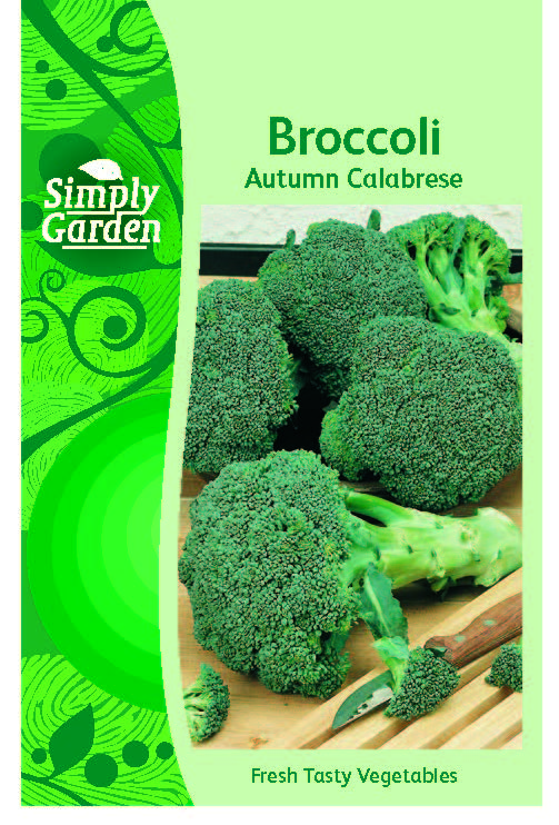 Broccoli Autumn Calabrese