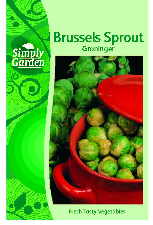Brussels Sprout Groninger