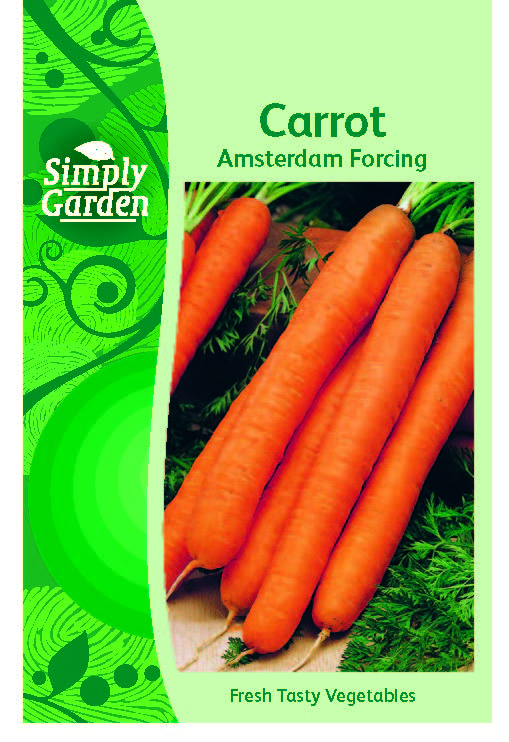 Carrot Amsterdam Forcing
