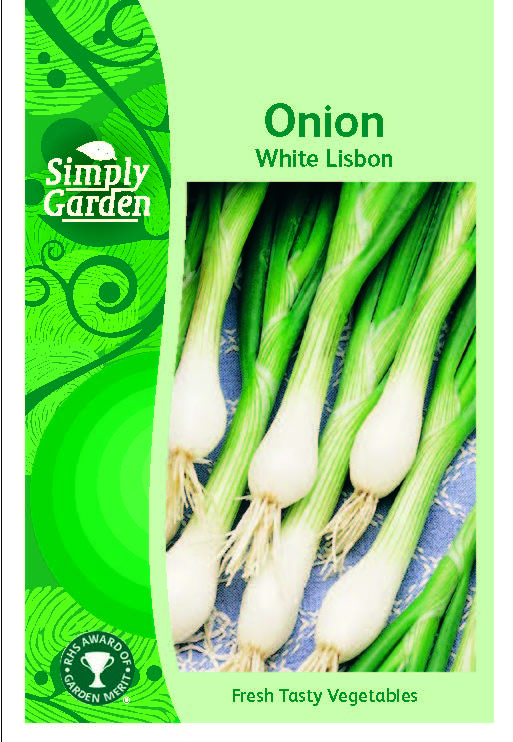 Spring Onion White Lisbon