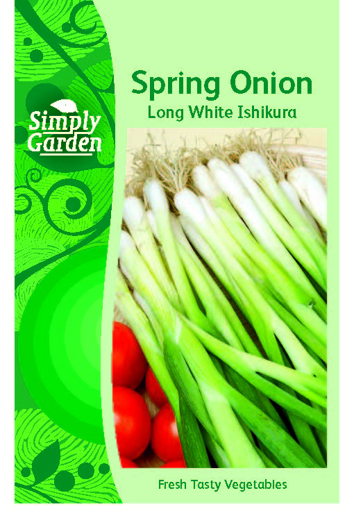 Spring Onion Long White Ishikura