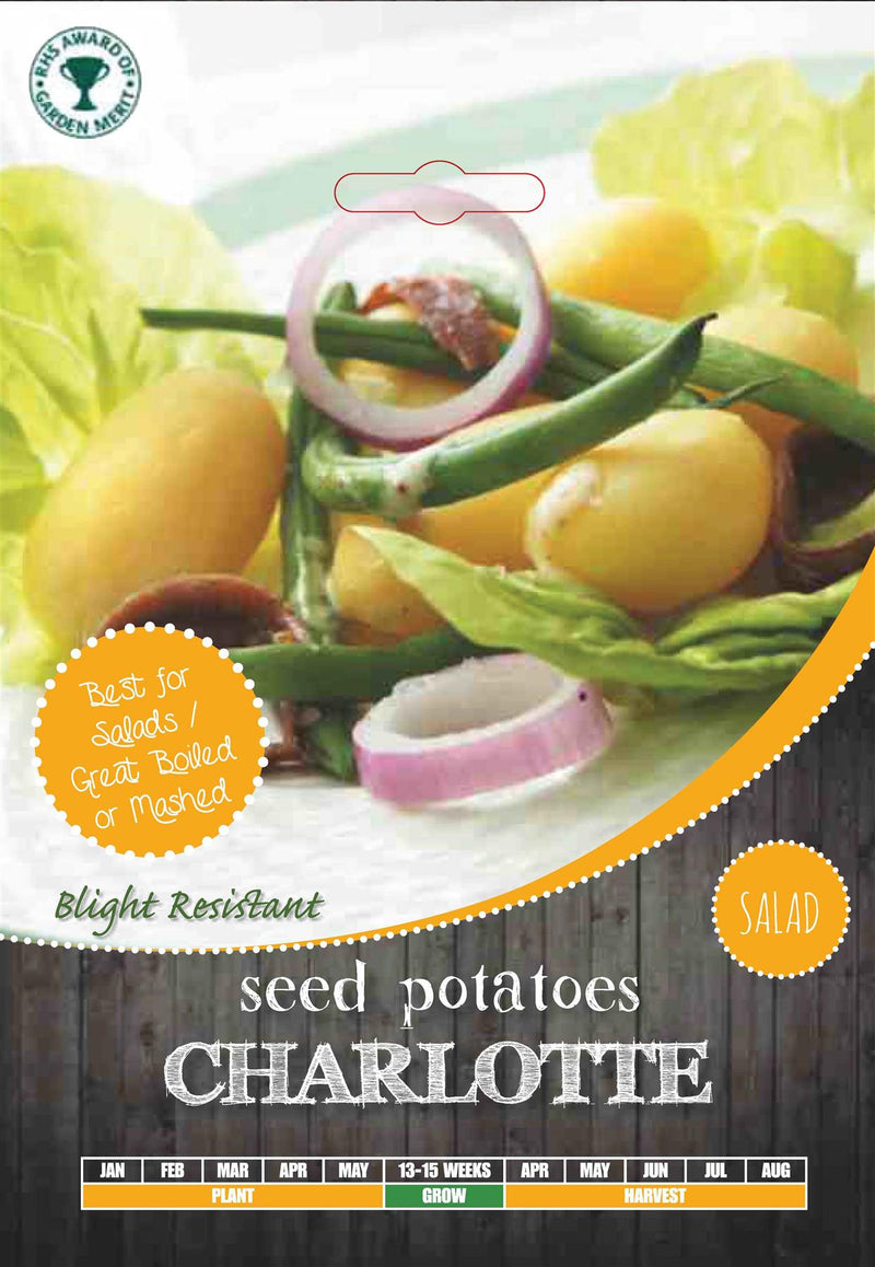 Charlotte Salad Potatoes