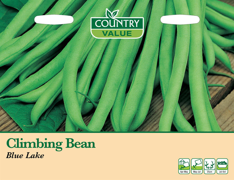 CV - Climbing Bean Blue Lake