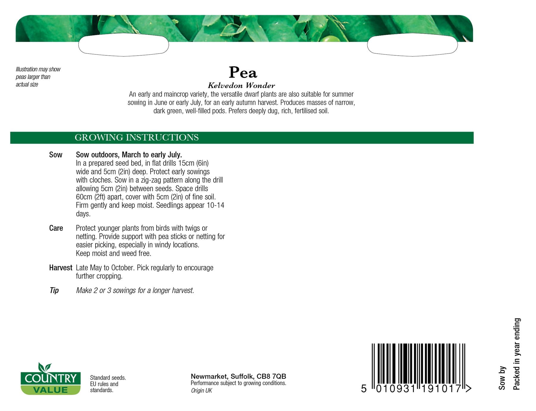 CV - Pea Kelvedon Wonder