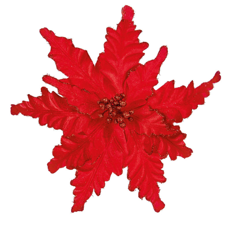 Red Poinsettia Clipp