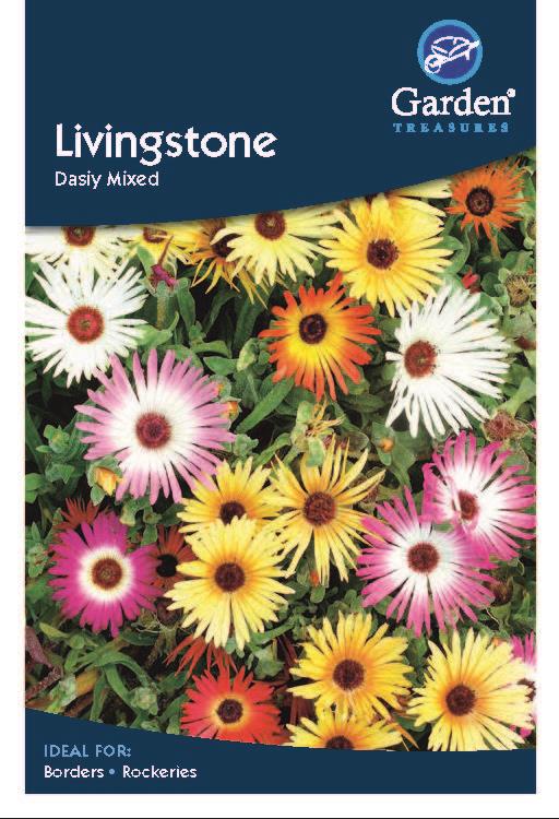 Livingstone Daisy Mixed