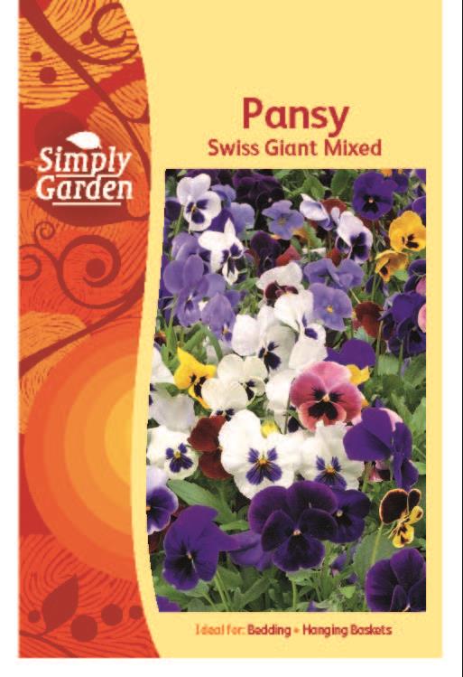 SG - Pansy Swiss Giant Mixed