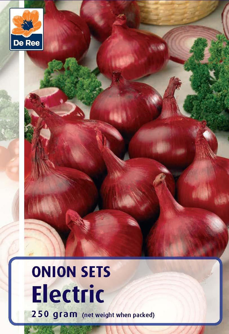 Electric Onions