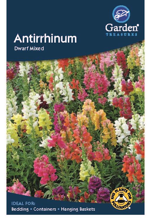 Antirrhinum Dwarf Mixed