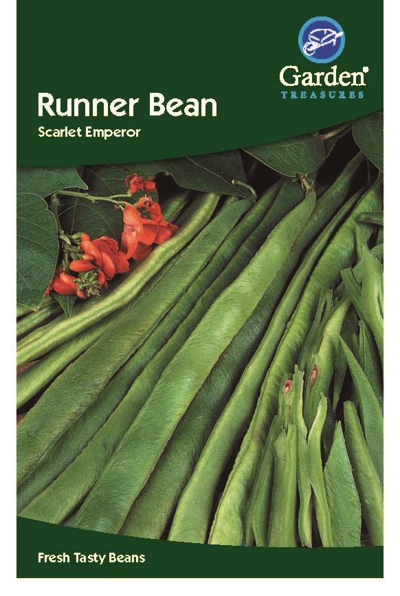 Runner Bean Scarlet Emperor