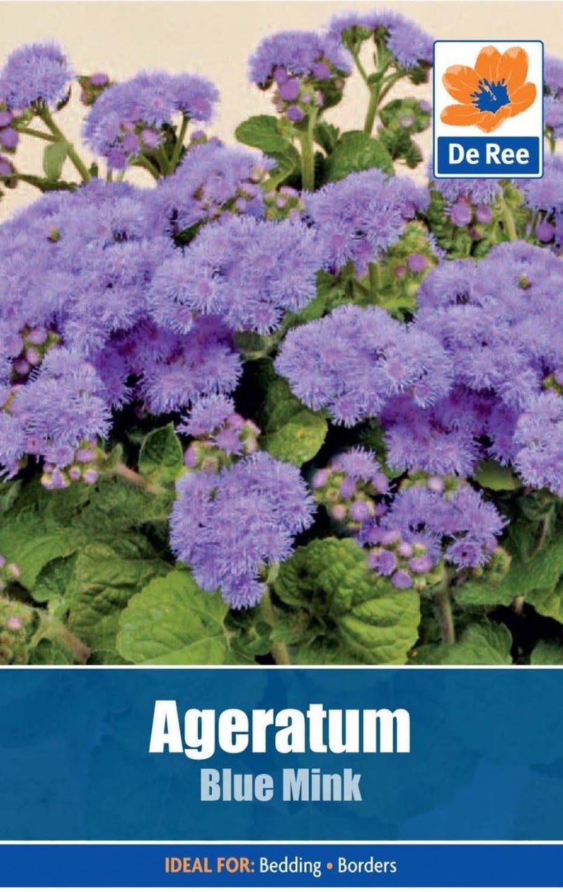 2 PACKS of AGERATUM Blue Mink FLOWER Garden SEEDS