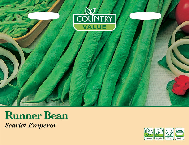 CV - Runner Bean Scarlet Emperor