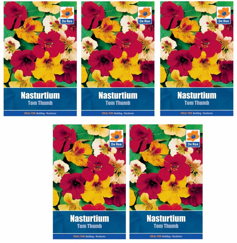 5 PACKETS of NASTURTIUM Tom Thumb FLOWER Garden SEEDS