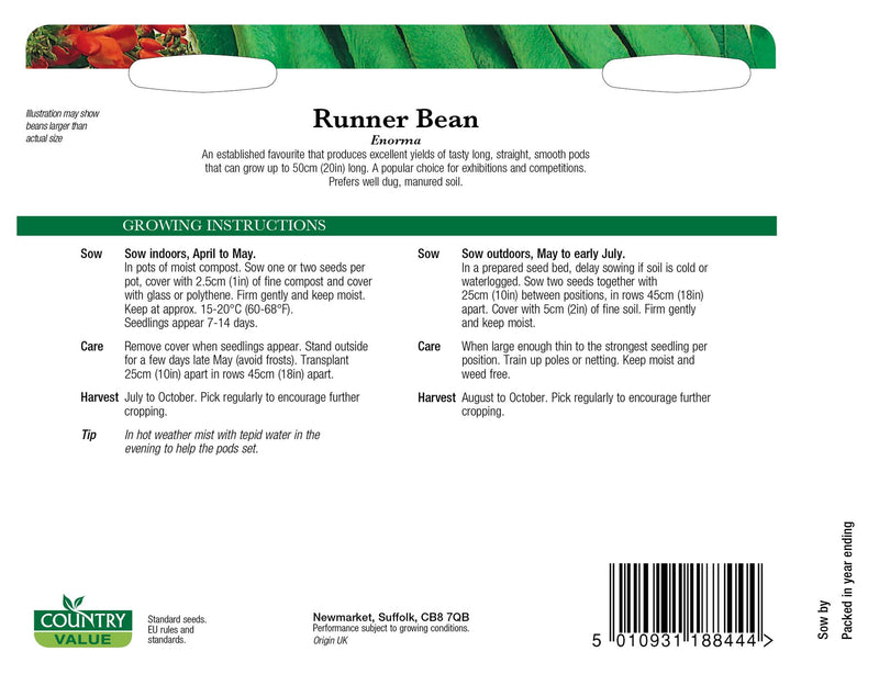 CV - Runner Bean Enorma