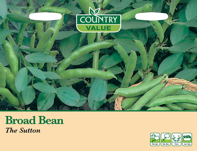 CV - Broad Bean The Sutton